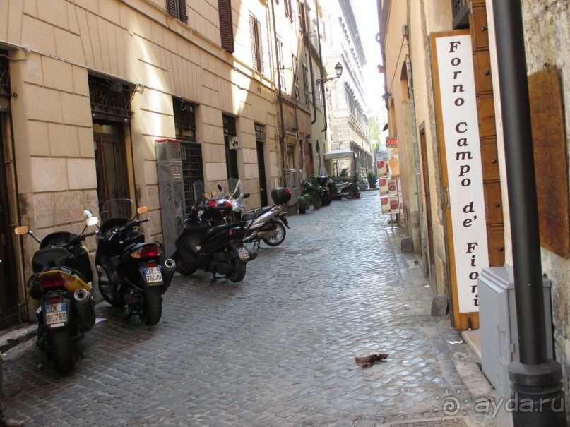 Самостоятельно по Италии. (Впервые без тура). Рим-Ватикан-Флоренция-Пиза-Римини-Венеция-Милан.