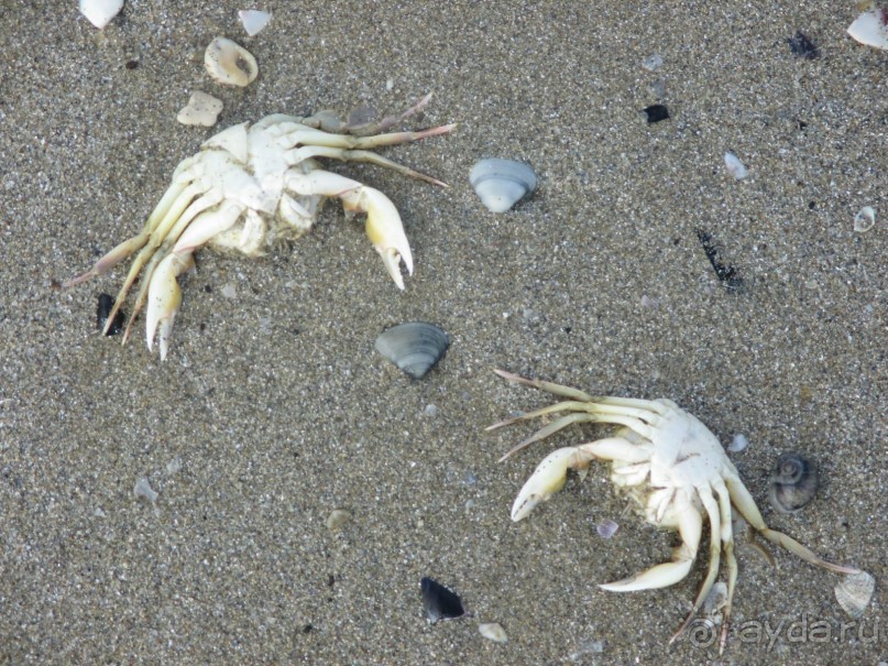 Римини. Пляж.