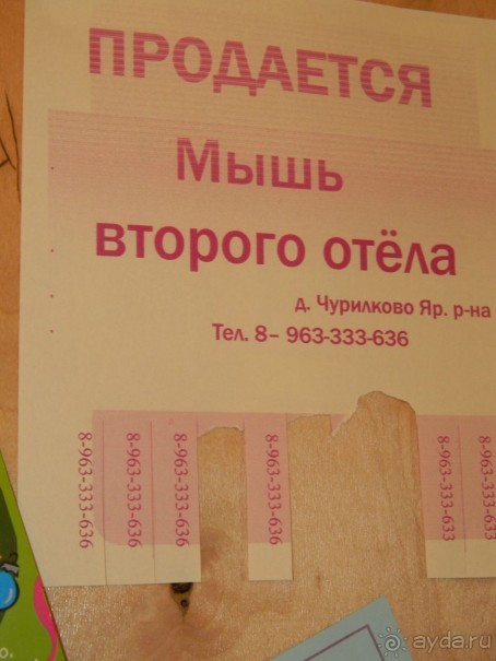 На автомобиле по Золотому Кольцу России - Мышкин.