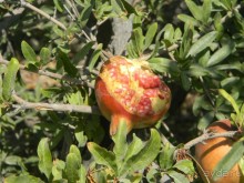 Мечты должны сбываться, но не так! Один день на о. Санторини, Греция.