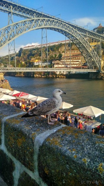 Самостоятельно по Португалии и Испании. Ч.3 - Португалия : Порту.