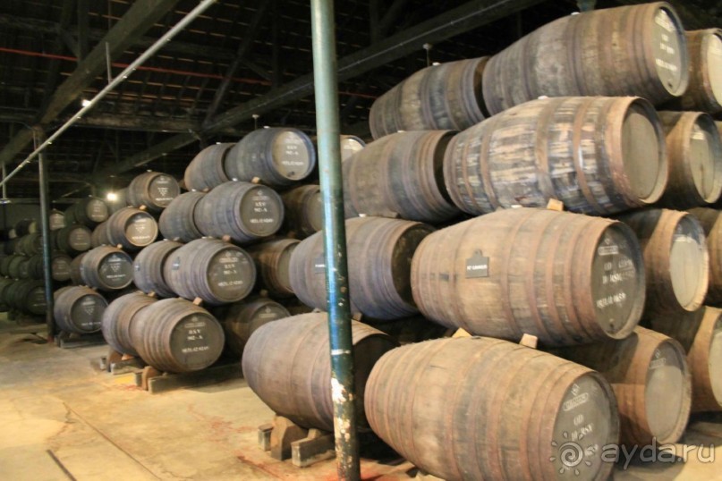 Самостоятельно по Португалии и Испании. Ч.3 - Португалия : Порту.