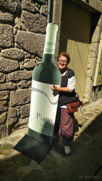 Самостоятельно по Португалии и Испании. Ч.3 - Португалия : Порту.