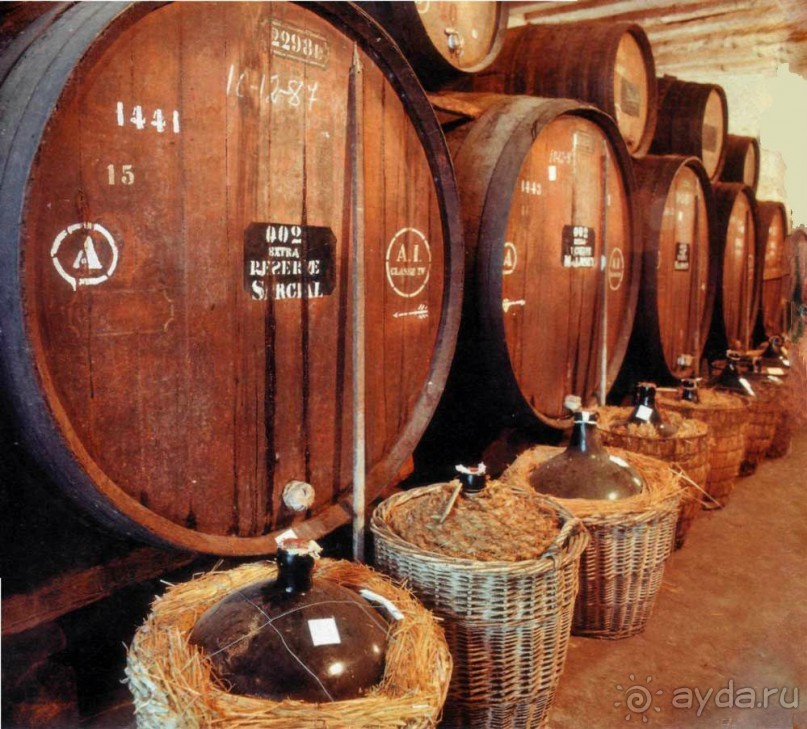 Самостоятельно по Португалии и Испании. Ч.3 - Португалия : Порту.