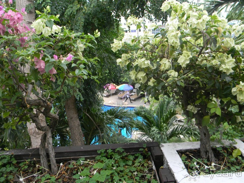 фото Mermaid's Beach Resort