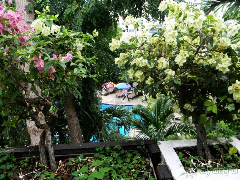 После ремонта отель стал еще лучше.