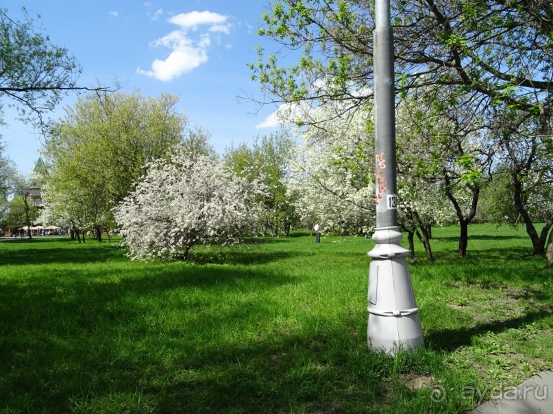 Дводрец царя Алексея Михайловича в Коломенском. 