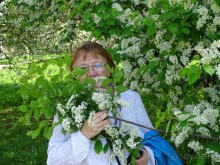 Дводрец царя Алексея Михайловича в Коломенском. 