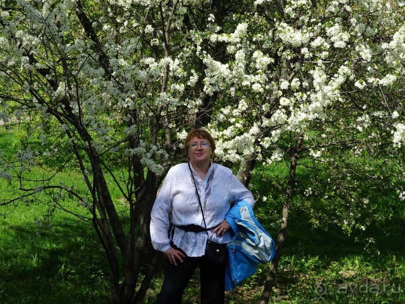 Дводрец царя Алексея Михайловича в Коломенском. Дводрец царя Алексея Михайловича в Коломенском.