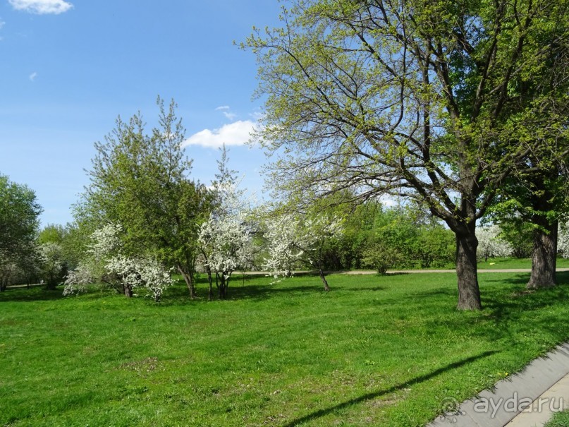 Дводрец царя Алексея Михайловича в Коломенском. Дводрец царя Алексея Михайловича в Коломенском.