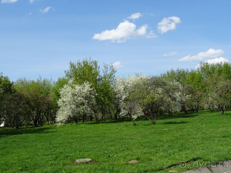 Дводрец царя Алексея Михайловича в Коломенском. Дводрец царя Алексея Михайловича в Коломенском.
