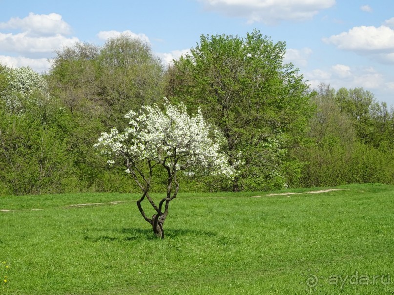 Дводрец царя Алексея Михайловича в Коломенском. Дводрец царя Алексея Михайловича в Коломенском.