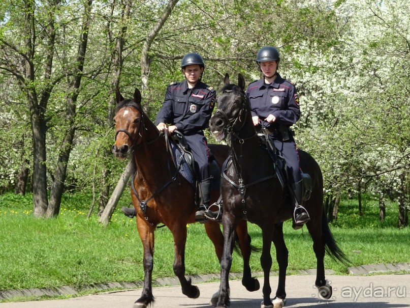 Дводрец царя Алексея Михайловича в Коломенском. Дводрец царя Алексея Михайловича в Коломенском.