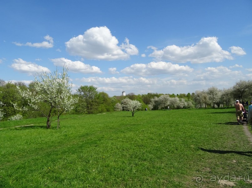 Дводрец царя Алексея Михайловича в Коломенском. Дводрец царя Алексея Михайловича в Коломенском.