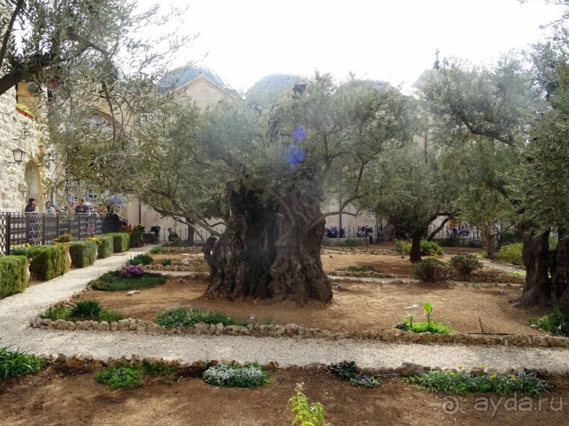 Шалом, Израиль! Часть 7. Иерусалим Христианский.