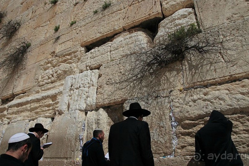 Шалом, Израиль! Часть 7. Иерусалим Христианский.