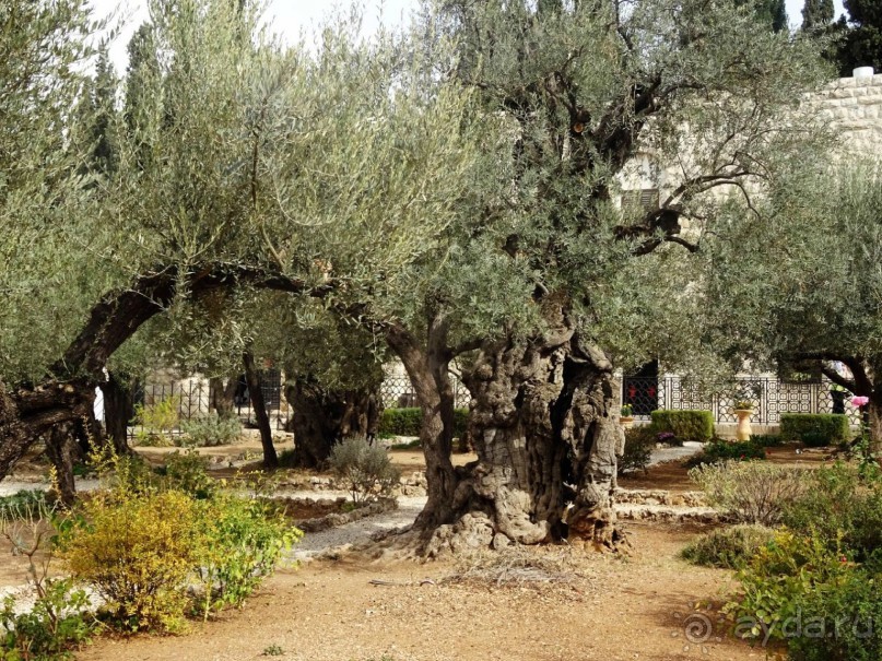 Шалом, Израиль! Часть 7. Иерусалим Христианский.