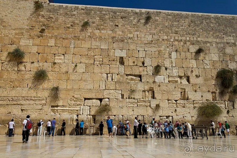 Альбом отзыва "Шалом, Израиль! Часть 7. Иерусалим Христианский."