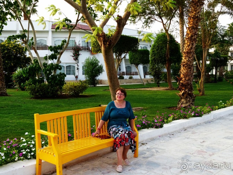 Отличный отель в Хургаде