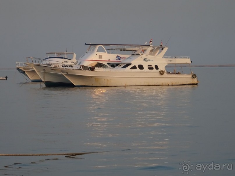 Отличный отель в Хургаде