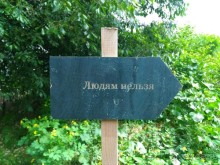 Весенний фестиваль цветов в Ботаническом саду МГУ. (Фотоотчет).