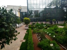 Весенний фестиваль цветов в Ботаническом саду МГУ. (Фотоотчет).