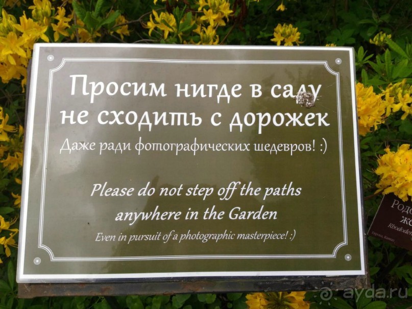 Весенний фестиваль цветов в Ботаническом саду МГУ. (Фотоотчет).