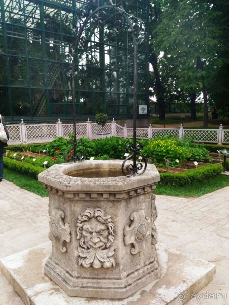 Весенний фестиваль цветов в Ботаническом саду МГУ. (Фотоотчет).