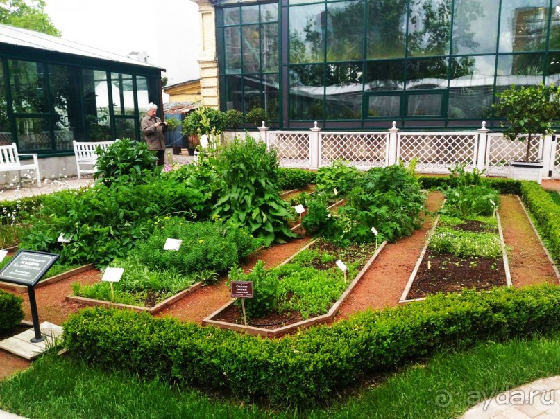 Весенний фестиваль цветов в Ботаническом саду МГУ. (Фотоотчет).