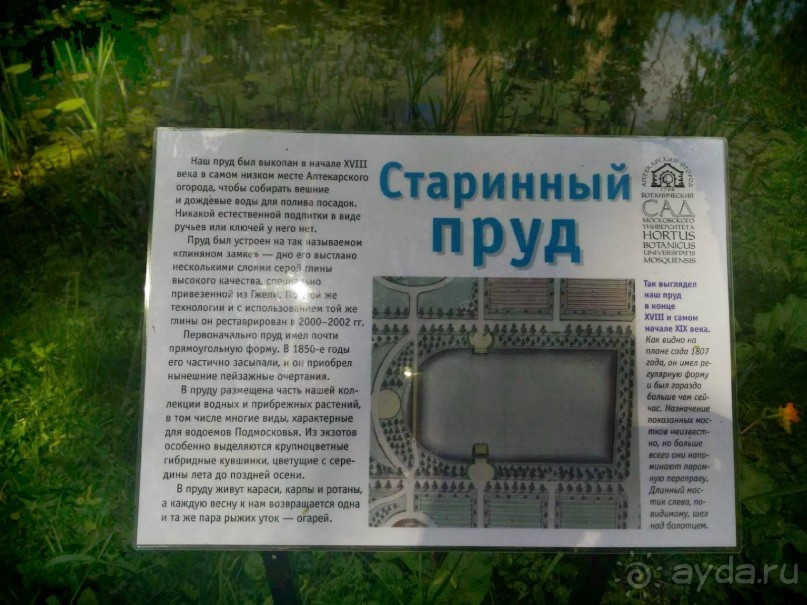 Весенний фестиваль цветов в Ботаническом саду МГУ. (Фотоотчет).