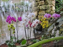 Шалом, Израиль! Часть 8. Парк орхидей "Утопия".