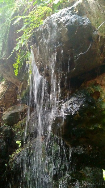 Альбом отзыва "Шалом, Израиль! Часть 8. Парк орхидей "Утопия"."