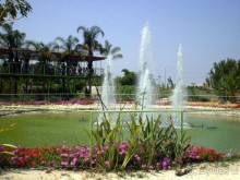 Шалом, Израиль! Часть 8. Парк орхидей "Утопия".