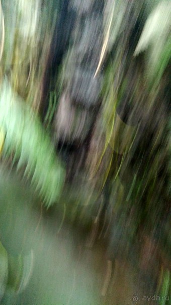 Шалом, Израиль! Часть 8. Парк орхидей "Утопия".