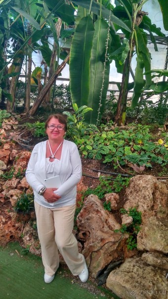 Альбом отзыва "Шалом, Израиль! Часть 8. Парк орхидей "Утопия"."