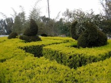 Шалом, Израиль! Часть 8. Парк орхидей "Утопия".