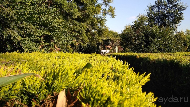 Шалом, Израиль! Часть 8. Парк орхидей "Утопия".