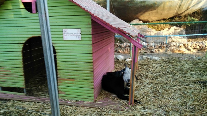 Шалом, Израиль! Часть 8. Парк орхидей "Утопия".