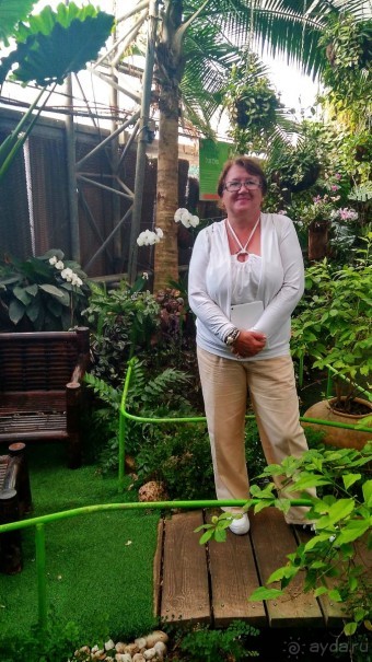 Альбом отзыва "Шалом, Израиль! Часть 8. Парк орхидей "Утопия"."