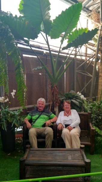 Альбом отзыва "Шалом, Израиль! Часть 8. Парк орхидей "Утопия"."