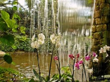 Шалом, Израиль! Часть 8. Парк орхидей "Утопия".