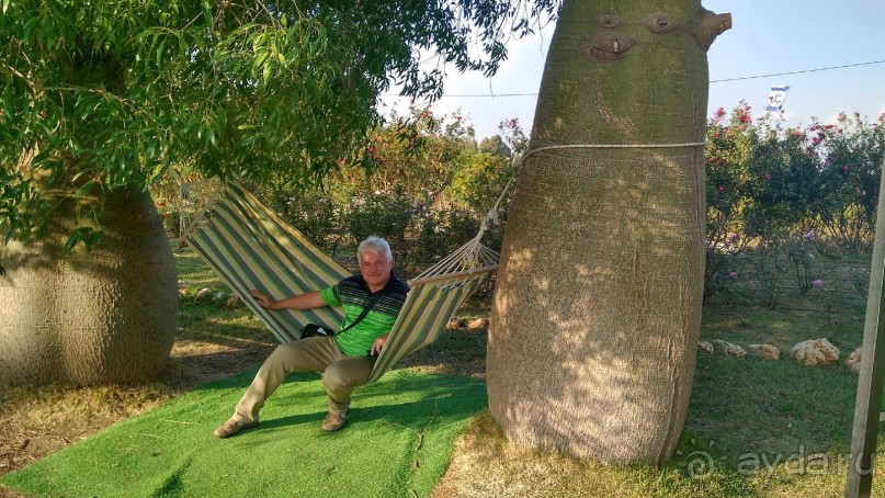 Альбом отзыва "Шалом, Израиль! Часть 8. Парк орхидей "Утопия"."