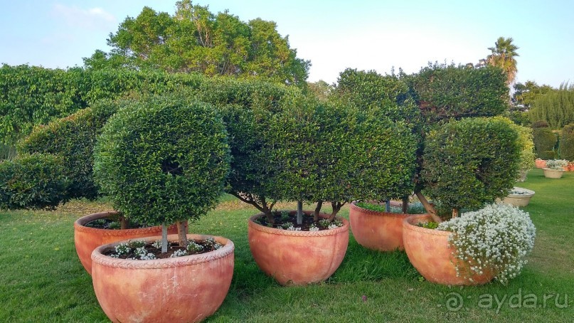 Шалом, Израиль! Часть 8. Парк орхидей "Утопия".