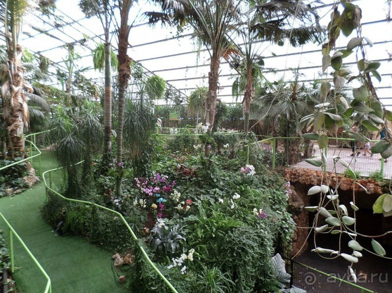 Шалом, Израиль! Часть 8. Парк орхидей "Утопия".