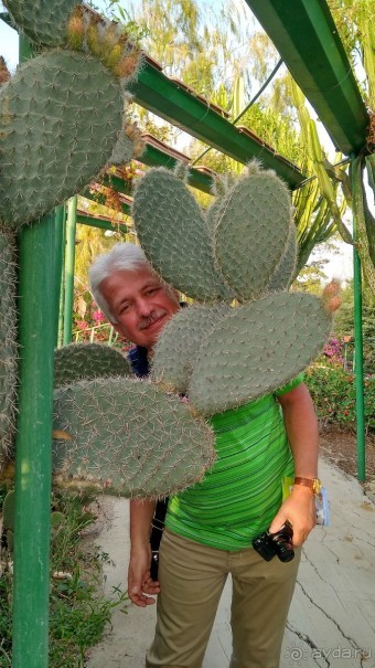 Шалом, Израиль! Часть 8. Парк орхидей "Утопия".