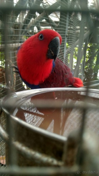 Шалом, Израиль! Часть 8. Парк орхидей "Утопия".