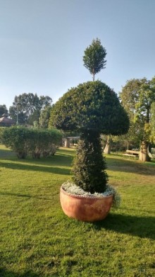 Альбом отзыва "Шалом, Израиль! Часть 8. Парк орхидей "Утопия"."