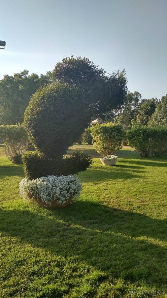 Шалом, Израиль! Часть 8. Парк орхидей "Утопия".