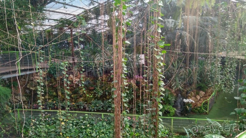 Шалом, Израиль! Часть 8. Парк орхидей "Утопия".