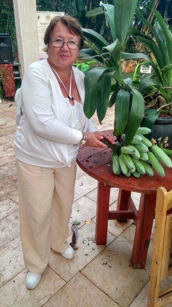 Шалом, Израиль! Часть 8. Парк орхидей "Утопия".